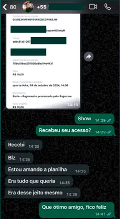 Conversa de WhatsApp: cliente recebeu o acesso e diz 'Estou amando a planilha, era tudo que queria'